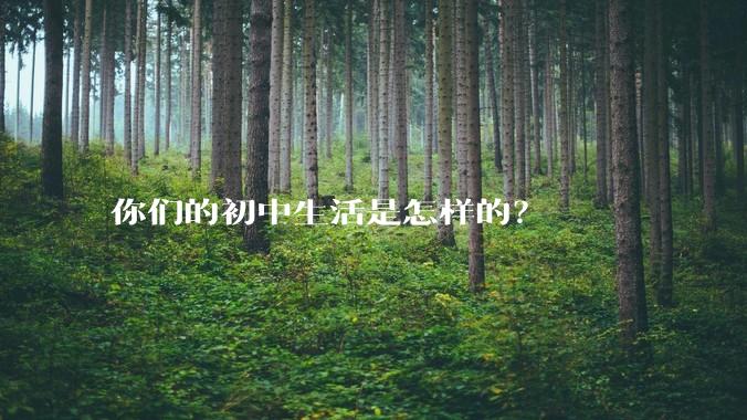 你们的初中生活是怎样的？