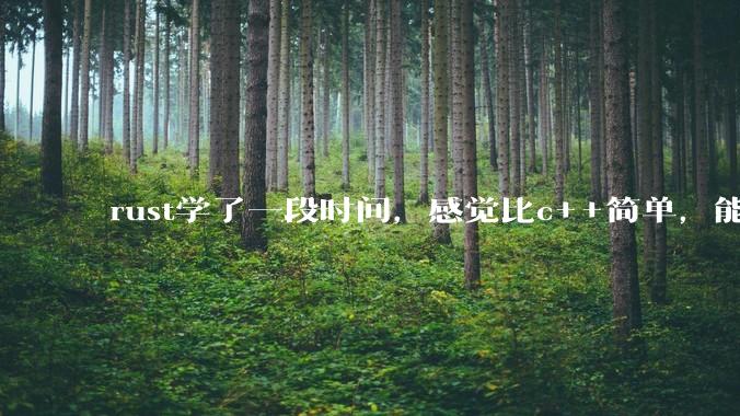 rust学了一段时间，感觉比c++简单，能取代c++，你们觉得会取代吗？
